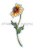 H-307 Lg. Delicate Daisy